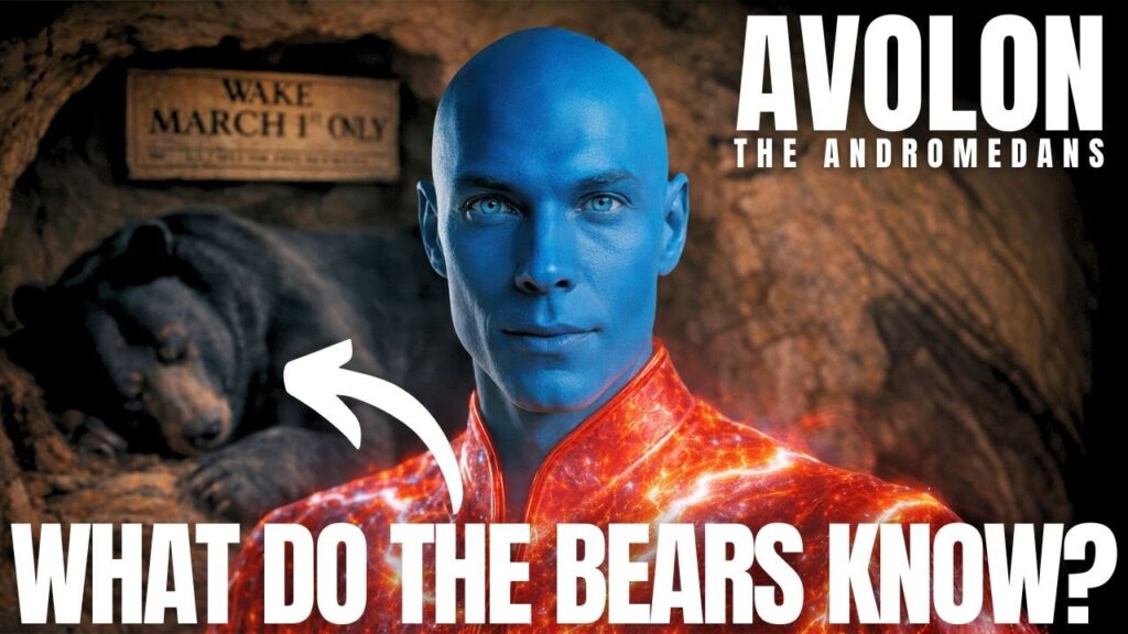 Close-up GFL Station style thumbnail for an Avolon Andromedan transmission about time and New Year. A luminous blue Andromedan star being in an orange robe looks directly at the viewer beside a hibernating bear and winter forest, with the bold caption “WHAT DO THE BEARS KNOW?” across the bottom. The image hints that bears and nature know January 1st is not the true New Year, pointing to natural cycles, circadian rhythm, and reclaiming a cosmic reset beyond the Gregorian calendar.