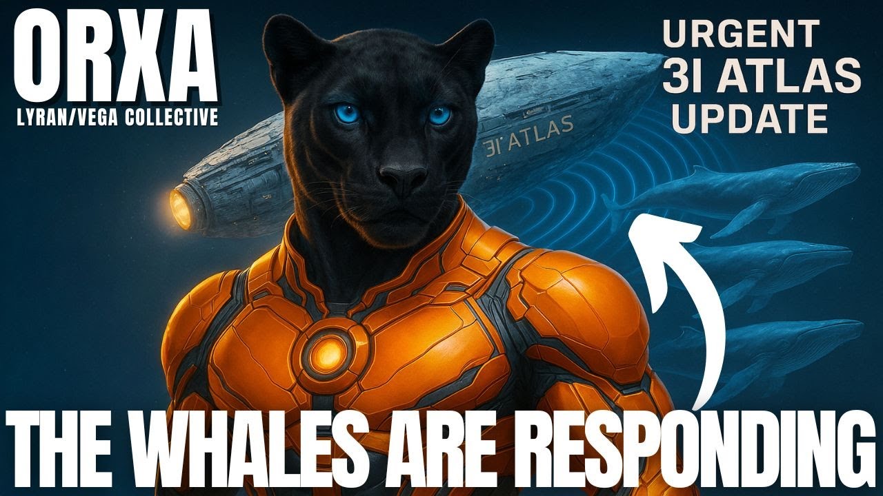 Orxa, the Vega Panthera emissary, stands in golden Lyran armor against a cosmic ocean backdrop, with the words ‘Urgent 3I Atlas Update’ and ‘The Whales Are Responding’ signaling a planetary hydrospheric activation message.