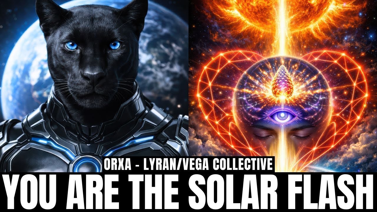 A cinematic Galactic Federation thumbnail showing a luminous black Lyran feline being in sleek, star-textured armor on the left, gazing forward against a deep blue cosmic background, and an intense golden-orange solar scene on the right with a coronal opening, flaring light column and radiant heart-shaped energy field around an activated third eye. Bold white title text across the bottom reads “YOU ARE THE SOLAR FLASH,” visually linking Orxa’s transmission about 3I Atlas, coronal openings, pineal activation, daily heart accord, and humanity quietly training with Sol for the New Earth threshold. Image size 1280×720 hero for the article “The Solar Flash Is You: How 3I Atlas, Coronal Openings, And Daily Heart Accord Are Quietly Training Humanity For The New Earth Threshold.”